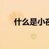 什么是小夜曲钢琴曲（什么是小夜曲）