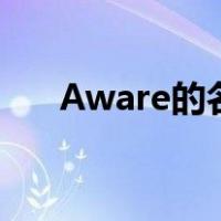 Aware的名词（aware的名词是什么）