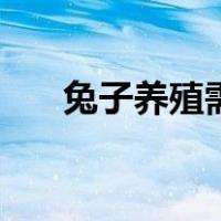 兔子养殖需要注意些什么（兔子养殖）