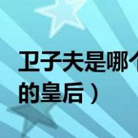 卫子夫是哪个朝代的皇后（卫子夫是哪个皇帝的皇后）