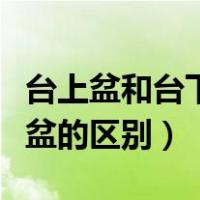 台上盆和台下盆的区别在哪里（台上盆和台下盆的区别）