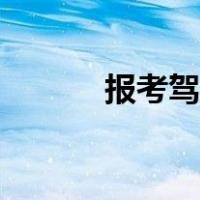 报考驾照网站（驾照报考网站）