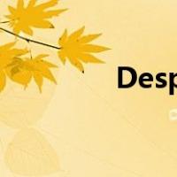 Desperation writing课件