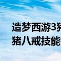 造梦西游3猪八戒技能搭配图片（造梦西游3猪八戒技能搭配）