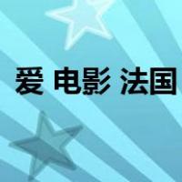爱 电影 法国 迈克尔哈内克（爱 电影 法国）