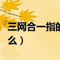 三网合一指的是什么内容（三网合一指的是什么）