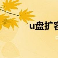 u盘扩容盘怎么恢复（u盘扩容）