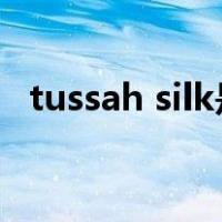 tussah silk是什么面料（silk是什么面料）
