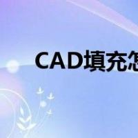 CAD填充怎么使用（CAD填充怎么用）