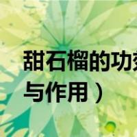 甜石榴的功效与作用能降糖?（甜石榴的功效与作用）