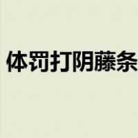 体罚打阴藤条故事小说（体罚打阴藤条故事）