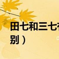 田七和三七有区别吗?（田七和三七有什么区别）