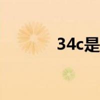 34c是多大图片（34c是多大）