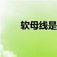软母线是什么意思（软母线是什么）