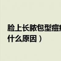 脸上长脓包型痘痘是什么原因造成的（脸上长脓包型痘痘是什么原因）