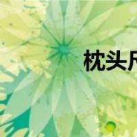 枕头尺寸48*74（枕头尺寸）
