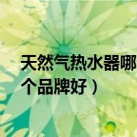 天然气热水器哪个品牌好?强排式的好吗（天然气热水器哪个品牌好）