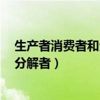 生产者消费者和分解者之间是什么（什么是生产者 消费者 分解者）