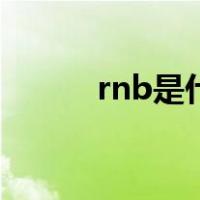 rnb是什么意思（rnb什么意思）