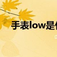 手表low是什么意思（slow是什么意思）