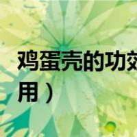 鸡蛋壳的功效与作用禁忌（鸡蛋壳的功效与作用）