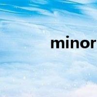 minority report（minority）