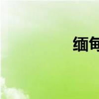 缅甸翡翠和祖母绿的区别