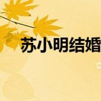 苏小明结婚了吗小说（苏小明结婚了吗）