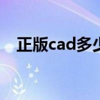 正版cad多少钱一个月（正版cad多少钱）