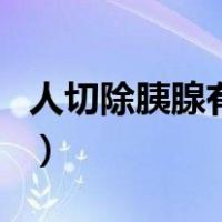 人切除胰腺有什么影响（胰腺切除有什么影响）