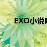 EXO小说吧（exo小说大全免费阅读）