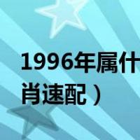 1996年属什么生肖配对男（1996年属什么生肖速配）
