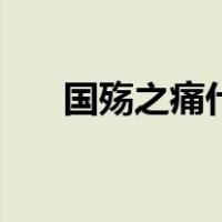 国殇之痛什么意思（国之殇什么意思）
