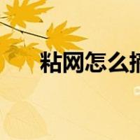 粘网怎么摘鱼（粘网摘鱼的最佳方法）