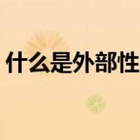 什么是外部性,举例说明正外部性与负外部性?