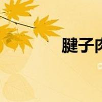 腱子肉是什么意思（腱子肉）