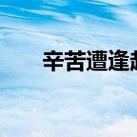 辛苦遭逢起一经,干戈寥落四周星修辞