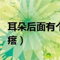 耳朵后面有个疙瘩一按会动（耳朵后面有个疙瘩）