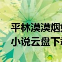 平林漠漠烟如织txt下载（平林漠漠烟如织的小说云盘下载）