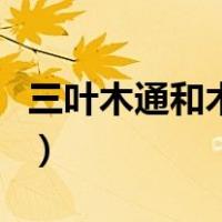 三叶木通和木通的区别（三叶木通和五叶木通）