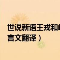 世说新语王戎和峤同时遭大丧翻译（王戎和峤同时遭大丧文言文翻译）