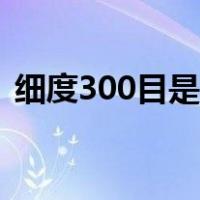 细度300目是多少微米（300目是多少微米）