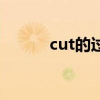 cut的过去式（come的过去式）