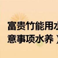 富贵竹能用水养吗（富贵竹的水养殖方法和注意事项水养）