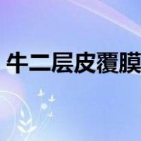 牛二层皮覆膜和超细纤维哪个好（牛二层皮）