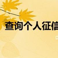 查询个人征信官网 12（查询个人征信官网）