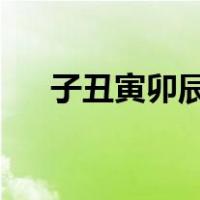 子丑寅卯辰巳午未申酉戌亥对应的日子