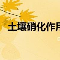 土壤硝化作用和反硝化作用（反硝化作用）