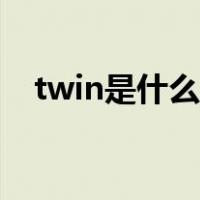 twin是什么意思中文（twin是什么意思）