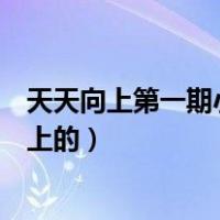 天天向上第一期小兄弟（天天小兄弟是从那期开始上天天向上的）
